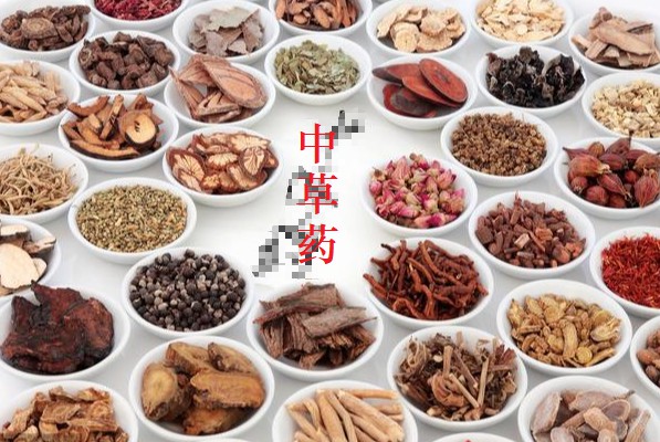 御瘟湯——防控疑似非瘟增加自制發酵中草藥體內外運用的原生中草藥公開參考組方